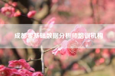 成都零基础数据分析师培训机构
