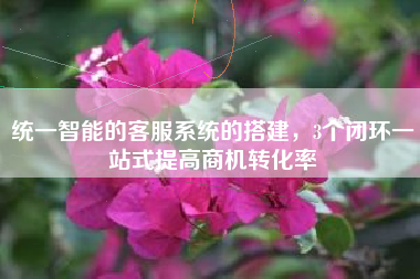 统一智能的客服系统的搭建，3个闭环一站式提高商机转化率