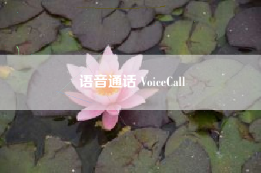 语音通话 VoiceCall