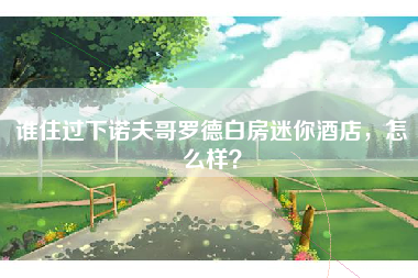 谁住过下诺夫哥罗德白房迷你酒店，怎么样？