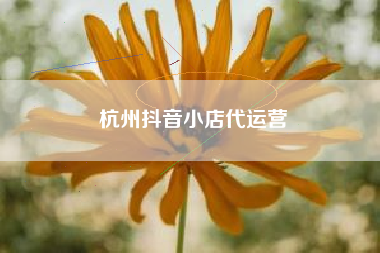 杭州抖音小店代运营