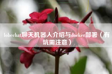 lobechat聊天机器人介绍与docker部署（有坑需注意）