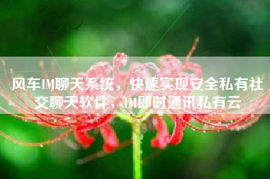 风车IM聊天系统，快速实现安全私有社交聊天软件，IM即时通讯私有云