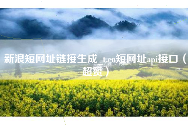 新浪短网址链接生成_t.cn短网址api接口（超赞）