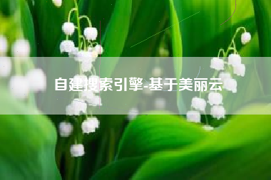 自建搜索引擎-基于美丽云
