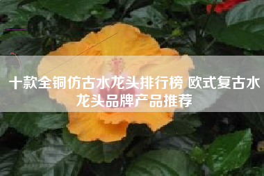 十款全铜仿古水龙头排行榜 欧式复古水龙头品牌产品推荐 十款全铜仿古水龙头排行榜 欧式复古水龙头品牌产品推荐