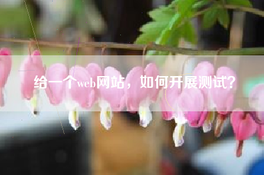给一个web网站，如何开展测试？