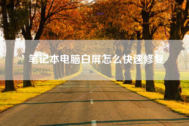 笔记本电脑白屏怎么快速修复