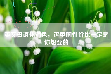 英文母语化润色，这里的性价比一定是你想要的