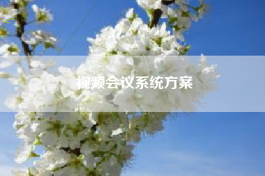 视频会议系统方案