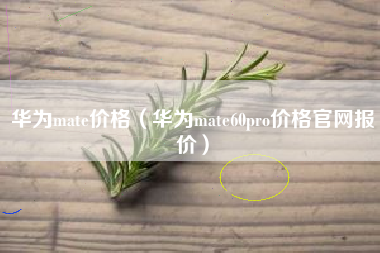 华为mate价格（华为mate60pro价格官网报价）