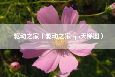 驱动之家（驱动之家 cpu天梯图）