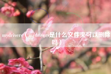 mydrivers（mydrivers是什么文件夹可以删除吗）