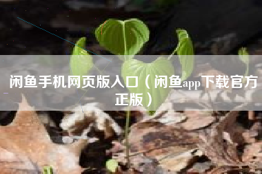 闲鱼手机网页版入口（闲鱼app下载官方正版）
