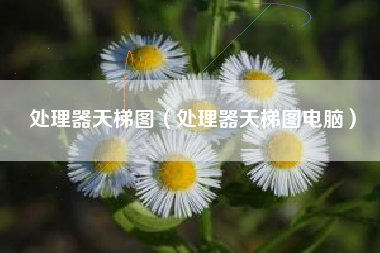 处理器天梯图（处理器天梯图电脑）