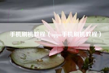 手机刷机教程（oppo手机刷机教程）