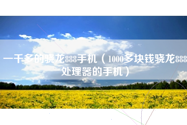一千多的骁龙888手机（1000多块钱骁龙888处理器的手机）