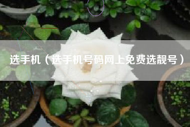 选手机（选手机号码网上免费选靓号）