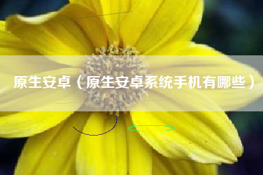 原生安卓（原生安卓系统手机有哪些）