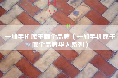 一加手机属于哪个品牌（一加手机属于哪个品牌华为系列）
