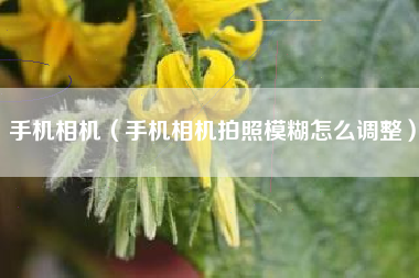 手机相机（手机相机拍照模糊怎么调整）
