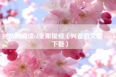 兴奋的阅读td全集视频（兴奋的文学 rmvb 下载）