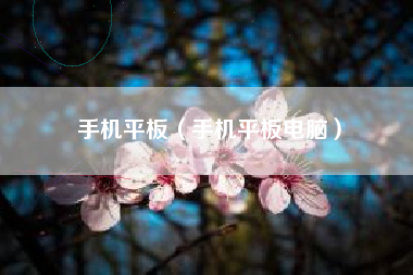 手机平板（手机平板电脑）