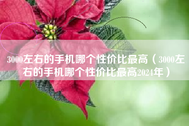 3000左右的手机哪个性价比最高（3000左右的手机哪个性价比最高2024年）