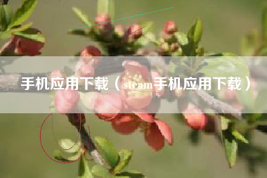 手机应用下载（steam手机应用下载）