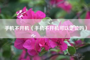 手机不开机（手机不开机可以定位吗）
