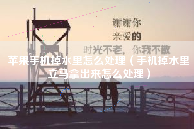 苹果手机掉水里怎么处理（手机掉水里立马拿出来怎么处理）
