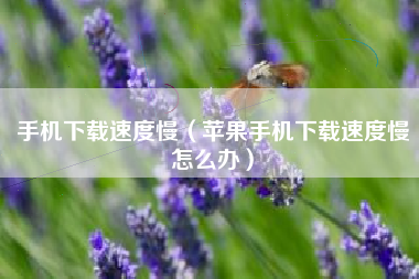 手机下载速度慢（苹果手机下载速度慢怎么办）