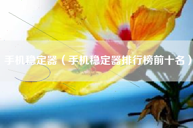 手机稳定器（手机稳定器排行榜前十名）