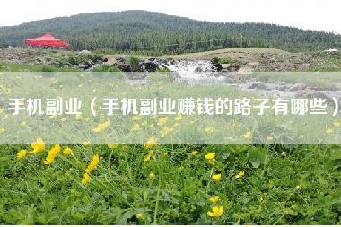 手机副业（手机副业赚钱的路子有哪些）