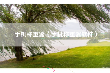 手机称重器（手机称重器软件）