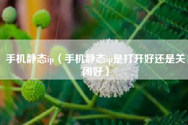 手机静态ip（手机静态ip是打开好还是关闭好）