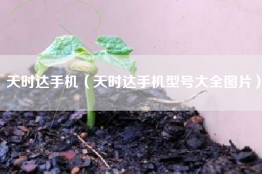 天时达手机（天时达手机型号大全图片）