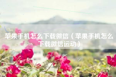 苹果手机怎么下载微信（苹果手机怎么下载微信运动）