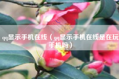qq显示手机在线（qq显示手机在线是在玩手机吗）