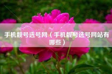 手机靓号选号网（手机靓号选号网站有哪些）