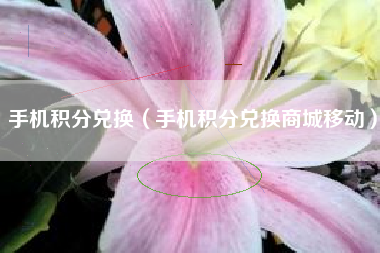 手机积分兑换（手机积分兑换商城移动）