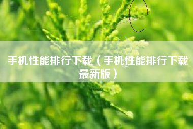 手机性能排行下载（手机性能排行下载最新版）