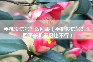 手机没信号怎么回事（手机没信号怎么回事关机重启也不行）