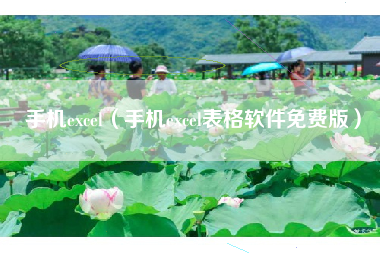 手机excel（手机excel表格软件免费版）