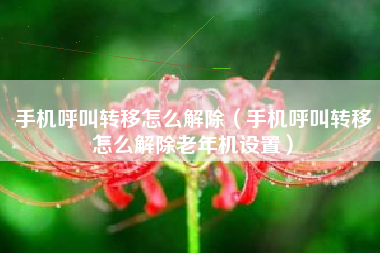 手机呼叫转移怎么解除（手机呼叫转移怎么解除老年机设置）