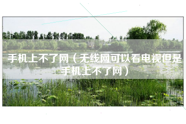 手机上不了网（无线网可以看电视但是手机上不了网）