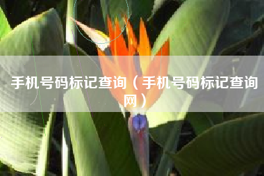 手机号码标记查询（手机号码标记查询网）