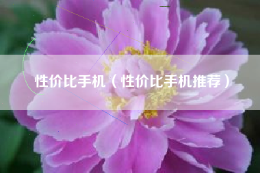 性价比手机（性价比手机推荐）