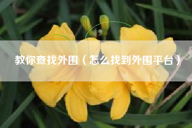 教你查找外围（怎么找到外围平台）