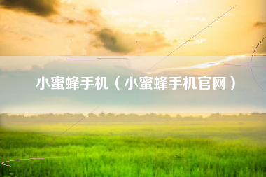 小蜜蜂手机（小蜜蜂手机官网）